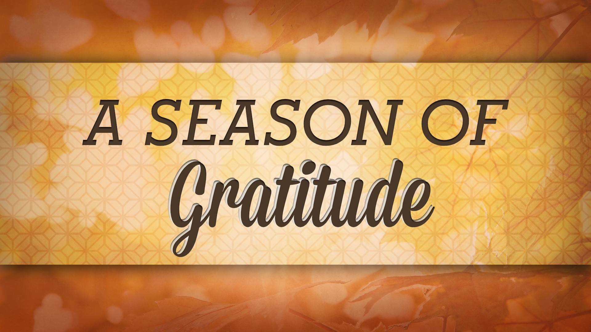 Special Thanksgiving Service this Wednesday